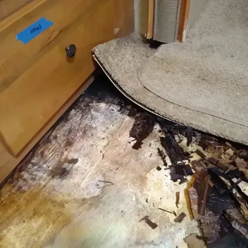 Best Wood Floor Water Damage Service in Bristol, RI